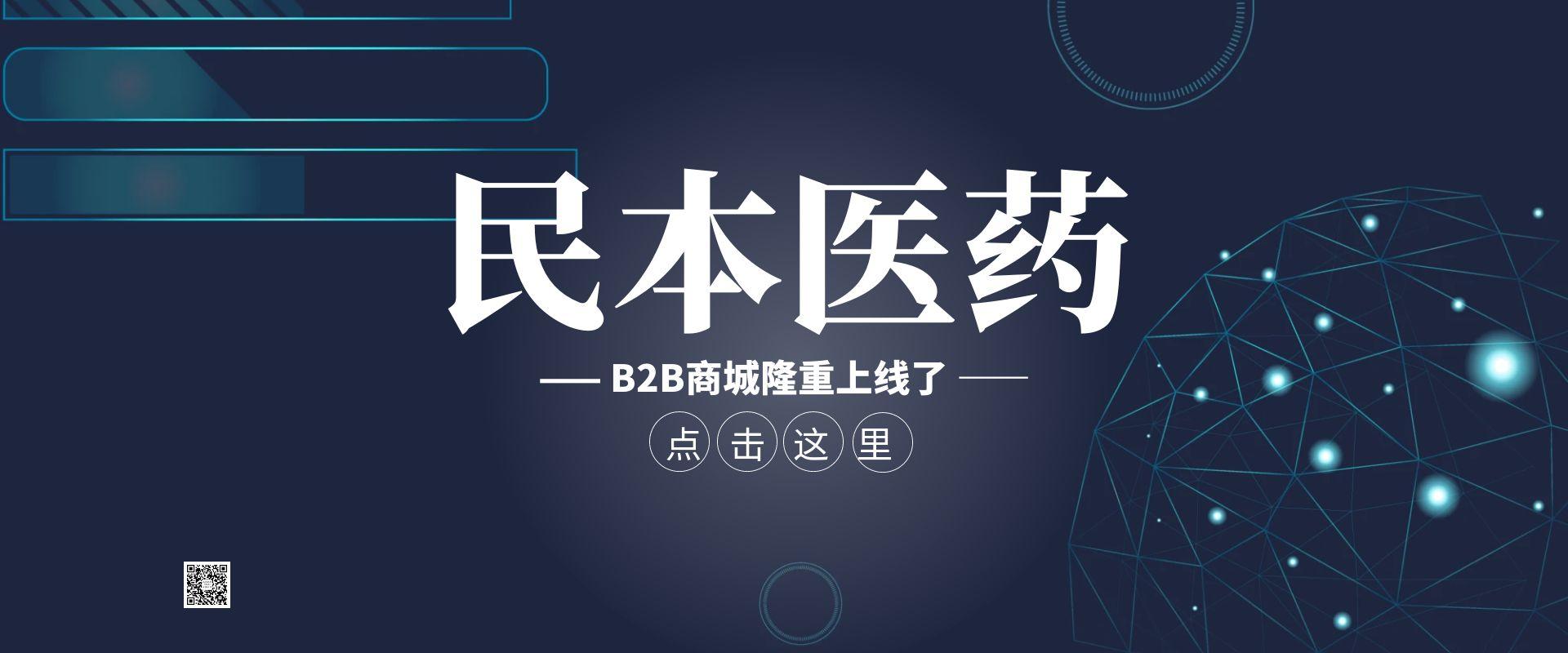 B2B商城